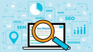How Can SEO Help in Growing Your Business?